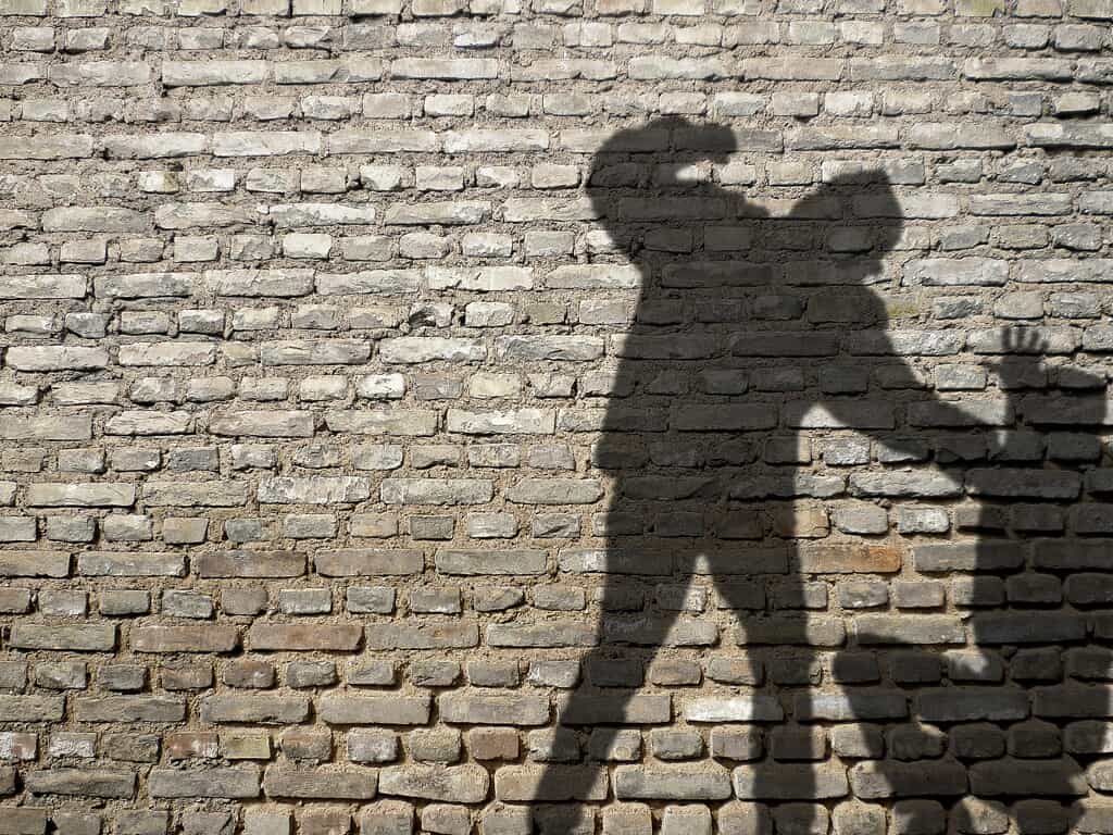 Shadow of Two Individuals Fighting